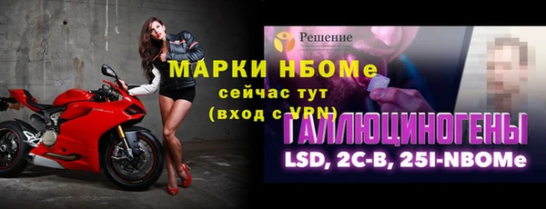 прущие грибы Бронницы
