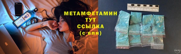 прущие грибы Бронницы