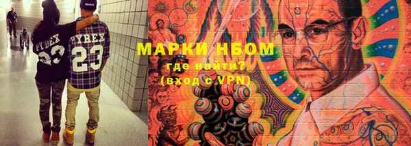 прущие грибы Бронницы