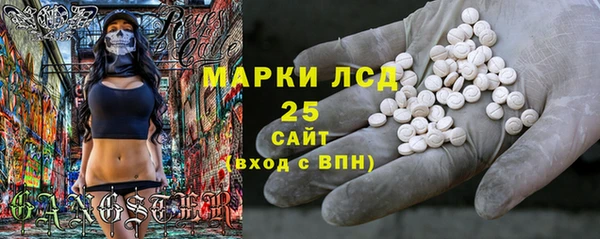 прущие грибы Бронницы