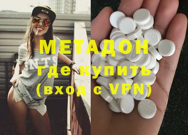 прущие грибы Бронницы