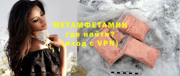 прущие грибы Бронницы
