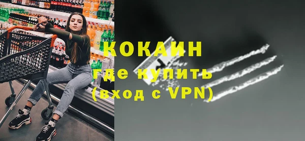 прущие грибы Бронницы